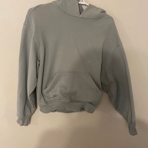 Aritzia sweatshirt